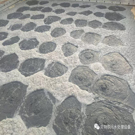 山東貝特環(huán)保出口設(shè)備成功運(yùn)行！